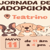 Celebración Día de la Madre: jornada de adopción de perros y gatos