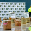 Autoridades incautaron cerca de una tonelada de estupefaciente en Bogotá