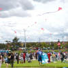 Festival de Verano de Bogotá: Asiste al Festival de Cometas sábado 3 de agosto