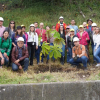 Plantación de árboles en Bogotá: carrera Séptima con calle 94 