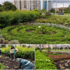 Jardinera en Suba en Bogotá le rinde homenaje a la cultura muisca