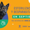 Esterilización de mascotas Bogotá: 780 cupos en Kennedy en septiembre