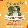 Jornada de adopción de perros en Bogotá 21 y 22 de septiembre 2024