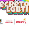 Funciones y proceso de elección Consejo Local LGBTI en Fontibón Bogotá