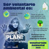 Convocatorias en Bogotá: participa en Voluntariado Ambiental 2025