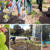 Parque Nacional de Bogotá empieza a recuperar su verde y biodiversidad