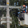 Cortes de luz en Bogotá viernes 11 de octubre de 2024 conoce zonas