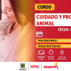 Cursos gratuitos en Bogotá: inscríbete en Escuela de la Participación