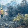 Ayúdanos a prevenir los incendios forestales en Bogotá 