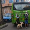 TransMilenio Bogotá rechaza mal comportamiento por algunos usuarios