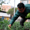 Mira la transformación de un parque en Usme que ahora es un punto ecológico 