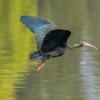 Bogotá verde: descubre la gran riqueza natural del Parque La Florida. 