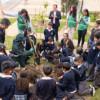 Foto del Colegio Alfonso Reyes Echandía en Bogotá durante la plantación de 49 nuevos árboles