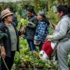 Foto de mujeres campesinas en un cultivo de hortalizas de una las zonas rurales de Bogotá.