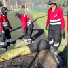 Imagen del levantamiento de la grama de la cancha sintética