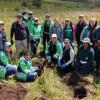 Fotos de la plantación de 164 nuevos árboles y arbustos en Ciudad Bolívar, al sur de Bogotá.