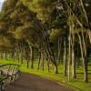 Simón Bolívar Park Bogotá is the first carbon-neutral park in Latam