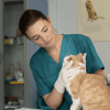 Foto de una veterinaria revisando un gato 