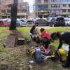 Imagen de personas trabajando en la recuperación de un parque