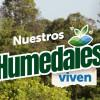 Imagen gráfica del evento 'Humedales viven' 
