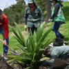 Imagen del alcalde Carlos Fernando Galán plantando un árbol