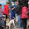 Ciudadanos con sus mascotas en jornada de esterilización en Barrios Unidos.