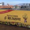 Imagen gráfica con el texto 'Patacones la Milagrosa' 