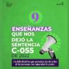 Enseñanzas que nos dejó la Sentencia C-055 de 2022