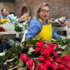 Un mujer de cundinamarca alistando rosas rojas
