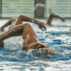 Imagen de personas en competencia de natación
