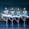 Imagen de un grupo de bailaritas de ballet en escena.