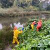 Foto que muestra trabajadores limpiando un humedal