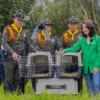 11.000 silvestres animales recuperados en Bogotá entre 2024 y 2026