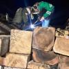 Incautados 11,45 m³ de madera ilegal en Bogotá proveniente de Quindio