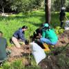 personas sembrando plantas en un parque