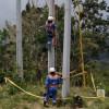 Foto de trabajadores de Enel Colombia realizando revisión de redes de energía.