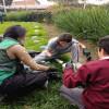 Foto de estudiantes realizan mantenimiento a parque del Sosiego