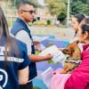 Familias esterilizando sus animales en Fontibón