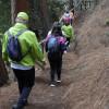 Foto que muestra personas caminando por un sendero ecológico 