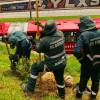 Equipo del Jardín Botánico realiza actividad de siembra el avenida El Dorado