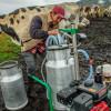 Foto de un campesino con su unidad productora de leche en una zona rural de Bogotá.