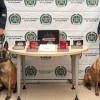 Dos policías y dos perros, con 3 kg de cocaína que pretendía salir del país hacia Australia.