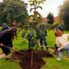 Personas realizando actividad de siembra en Fontibón