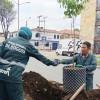 Funcionarios del Jardín Botánico de Bogotá realizan jornada de siembra