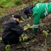 Foto de la plantación de 225 nuevos árboles en el Humedal Capellanía de Fontibón, al occidente de Bogotá.