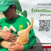 Perro esterilizado en Bogotá