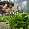 Foto de una campesina en zona rural de Bogotá.
