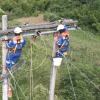 Foto que muestra trabajdores de Enel Colombia