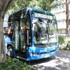 Foto de un bus TransMiZonal