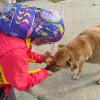 Funcionaria de la Alcaldía Local atendiendo un perro